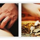 세정한의원 이미지