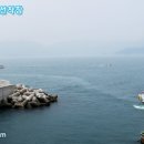 외도보타니아주