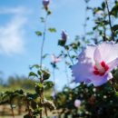 JCC아트센터 이미지