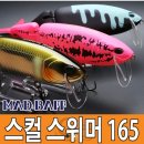 샤델 이미지