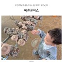 튼튼이농장 | 용인체험농장 헤븐온어스 고구마캐기 버섯수확 용인놀거리