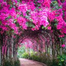 (주)세계로투어 이미지