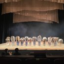 대학로예술극장 대극장 이미지