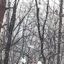 산중에 이미지