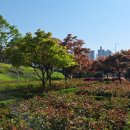 태능 당구장 이미지