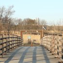 비봉인공습지 이미지