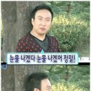 도그프리덤 이미지