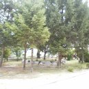 사벌초등학교 이미지