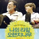 이벤트오렌지나무
