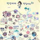 고미찹쌀꽈배기·호떡