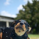 국민체육센터(야외공연장) 이미지