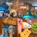 오아시스헤어 온천2호점 | 인스파이어 아레나 식당 오아시스 시간 메뉴 카페 맷차 위치 콘서트 대기 팁