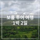 포레스트힐어학원 | 보홀패키지여행 1박2일 현지투어업체 세부부투어