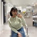 유니클로 울 가디건 : 엑스트라 화인 메리노 크루넥 가디건 - 라이크 그린 구매 후기
