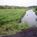 구연정 Daum카페
