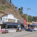 낙동강 유채단지 이미지