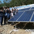 써니플랜트 이미지