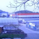 가나안 농원