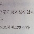 햅삐데이 이미지