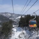 Dragon Park 이미지