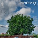 거제실버웰노인요양센타