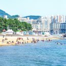 보성정비주