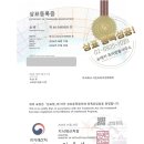 서진경영컨설팅 - 시흥시 비둘기공원7길 51 | 서진경영컨설팅