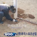 불로초등학교 이미지