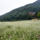 미리내모텔 이미지