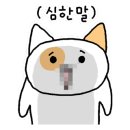 토마토키즈 이미지