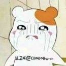 신시 이미지