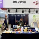 봉동식품 | [전주행사]2025년 전주 발효식품엑스포 참가 후기