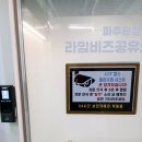 라임비즈