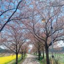 미술관스테이 이미지