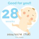 한일프라콘(주) 동탄공장 | [임신] 28주~31주차 기록