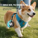 산책