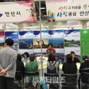 안산국제여행사 이미지