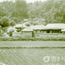 안메끼실 이미지