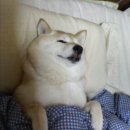 서울로얄호텔 이미지