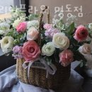 퓨얼리영플라워