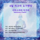 명상요가(저녁) 이미지