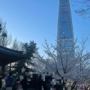 송파구 석촌호수데이트길(밤길) | 잠실 벚꽃 실시간 포토존 추천 석촌호수맛집 추천, 팡즈, 송리단길 데이트코스