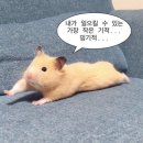 [DVD예약후기] 밝은 홀 국제웨딩컨벤션 가성비 DVD 푸른달필름 예약 후기