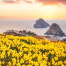 바다풍경(오륙도) 이미지