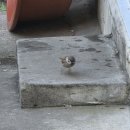 금학공영주차장 | [강릉] 중앙시장 노포 맛집 금학칼국수