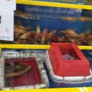 제하공인중개사사무소 이미지