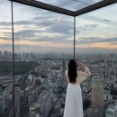 700400 | 일본 도쿄 태교 여행 4박 5일 준비하기 (항공권, 임산부 사전좌석 신청, 코스, 일정, 숙소, 쇼핑 리스트...