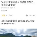 4성급 호텔사업 사기당해서 ㅈ된 합천군ㄷㄷㄷㄷㄷㄷㄷ(feat.수백억 사기당함) 이미지