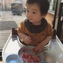 +D254, 긴자, 딸기냠냠, 첫번째어린이날