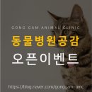 천호동물병원 이미지